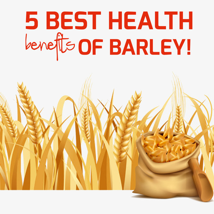 5 Best Health Benefits of Barley!